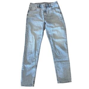 American Eagle Outfitters Blue Straight Leg Strigid Jeans